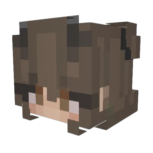 RussianDumpling Minecraft avatar head, 3D render