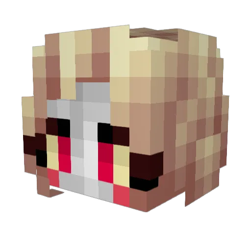 Russianbadgerso Minecraft avatar head, 3D render