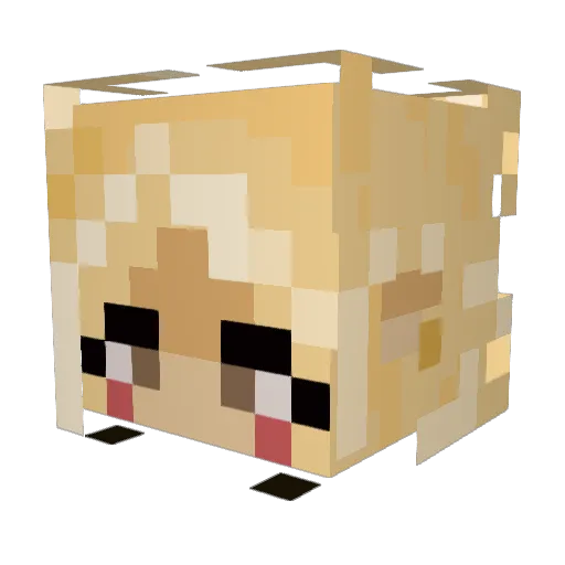 RusstyFFox Minecraft avatar head, 3D render