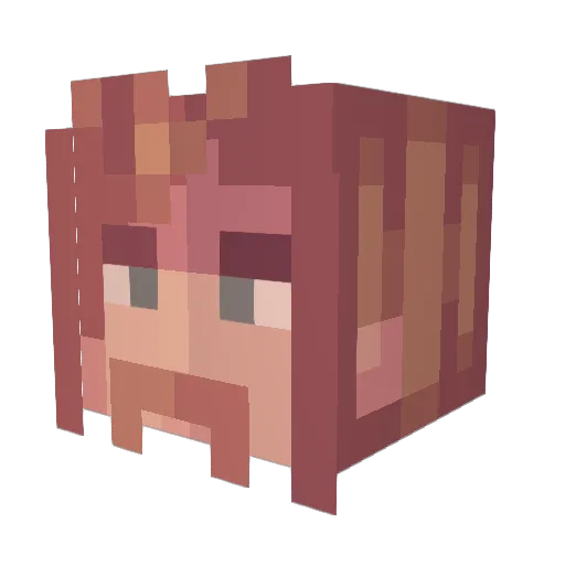 RustaceanFeline Minecraft avatar head, 3D render