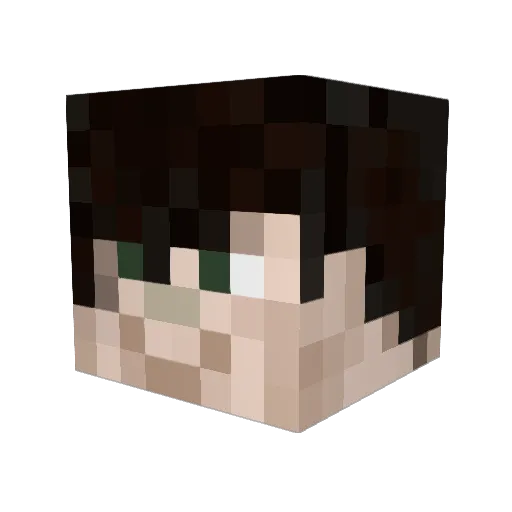 Rustash Minecraft avatar head, 3D render