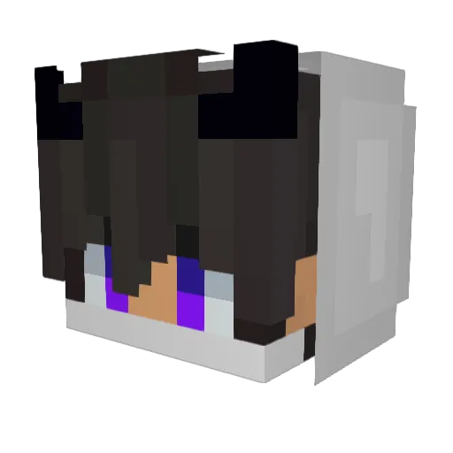 Rusterek Minecraft avatar head, 3D render