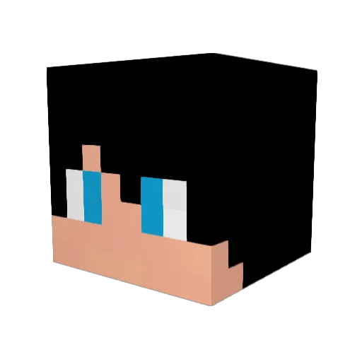 Rusti63 Minecraft avatar head, 3D render