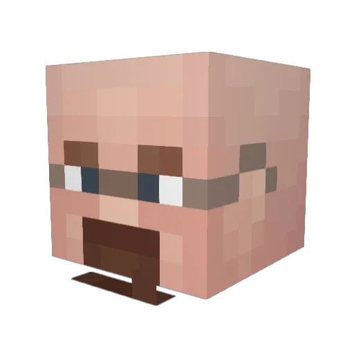 RusticDuck9231 Minecraft avatar head, 3D render