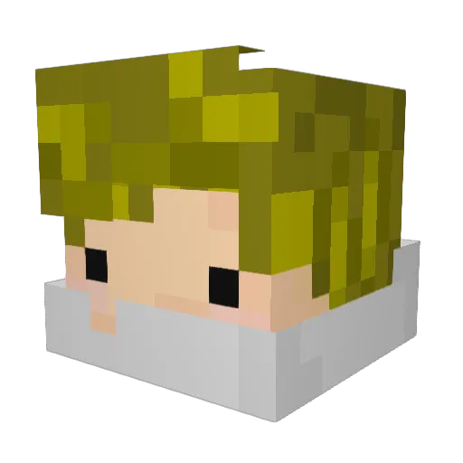 RusticGranola Minecraft avatar head, 3D render