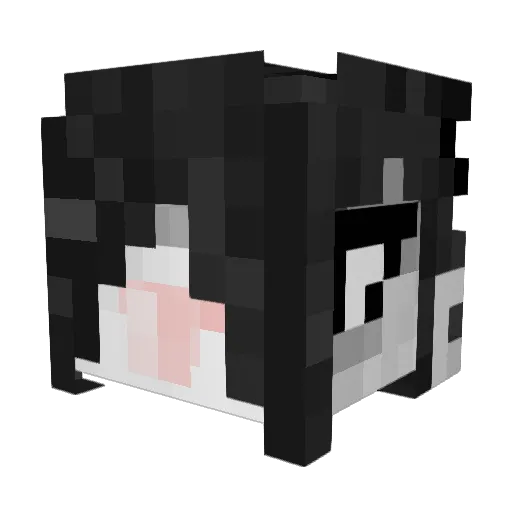 RusticSlinky0 Minecraft avatar head, 3D render