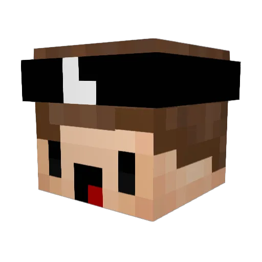RusticWishy Minecraft avatar head, 3D render