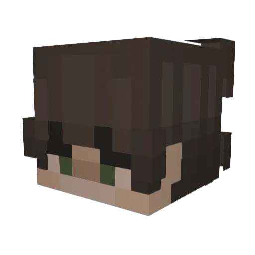 Rustik26 Minecraft avatar head, 3D render