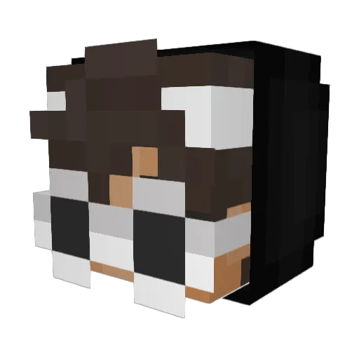 Rustingly Minecraft avatar head, 3D render