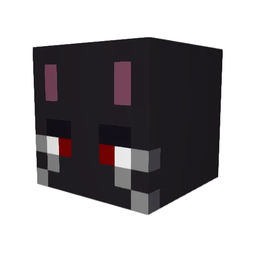 Rustplayer81 Minecraft avatar head, 3D render