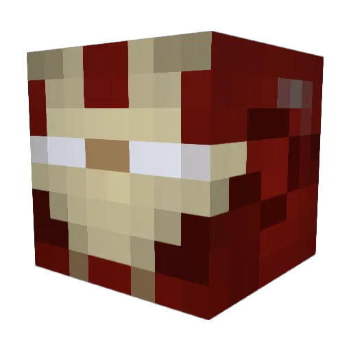 Rusty29 Minecraft avatar head, 3D render