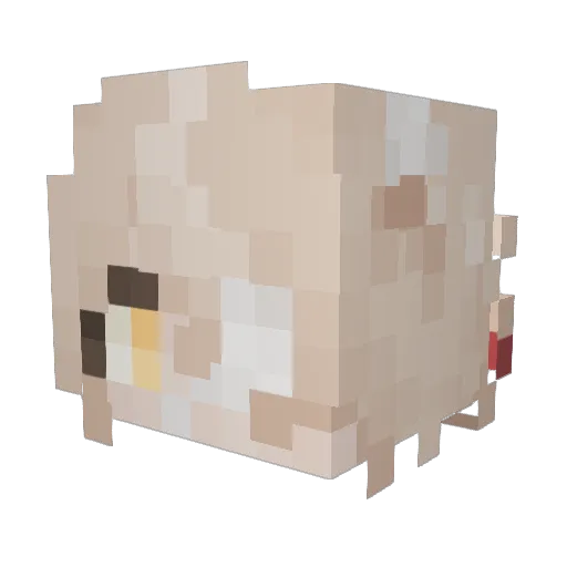 RustyDraaxx Minecraft avatar head, 3D render