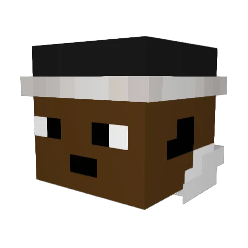 RustyGnome8 Minecraft avatar head, 3D render