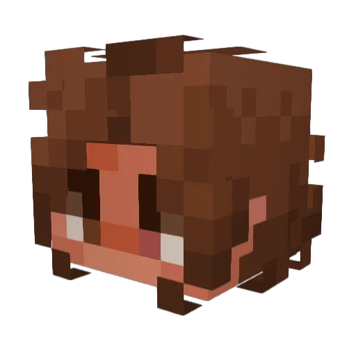 RustyMess Minecraft avatar head, 3D render
