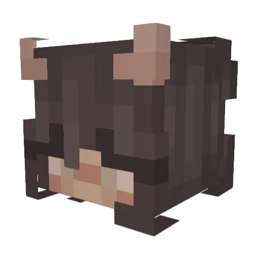 RustyPeach Minecraft avatar head, 3D render