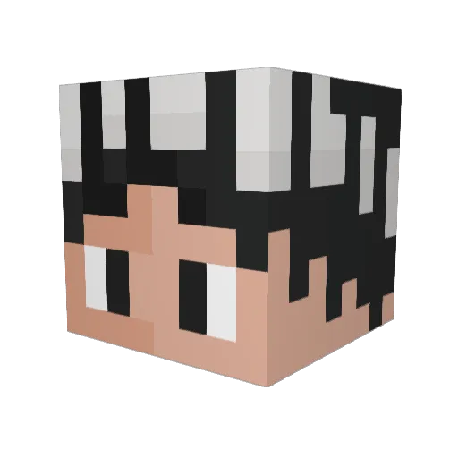 RustyPineCone7 Minecraft avatar head, 3D render