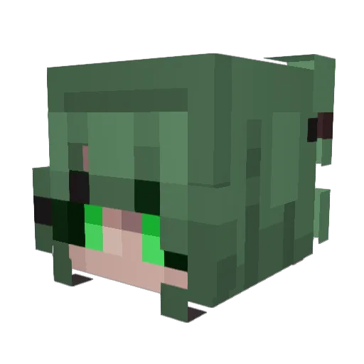 RustyQuille Minecraft avatar head, 3D render