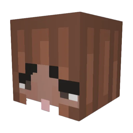 RustyRedRhombus Minecraft avatar head, 3D render