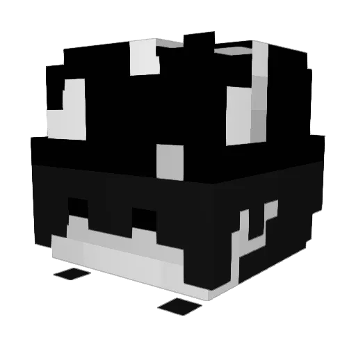 RustySE Minecraft avatar head, 3D render