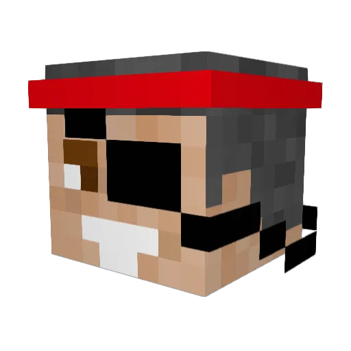 RustyTinCan_ Minecraft avatar head, 3D render