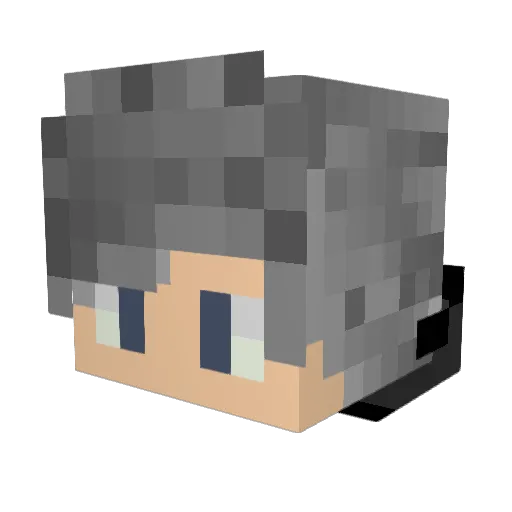 Rusty_Jimmy Minecraft avatar head, 3D render
