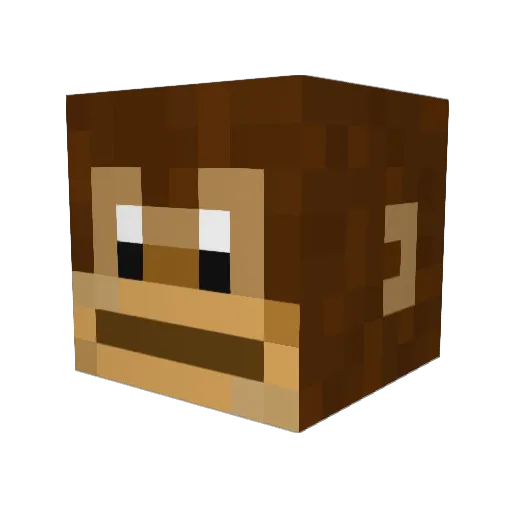 Rustychecker Minecraft avatar head, 3D render