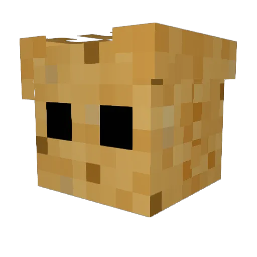 Rustynail9117 Minecraft avatar head, 3D render