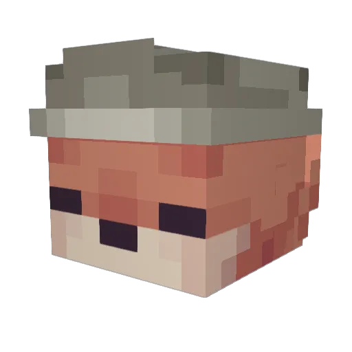 Rustypaw Minecraft avatar head, 3D render