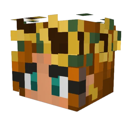 Rustyroo56 Minecraft avatar head, 3D render