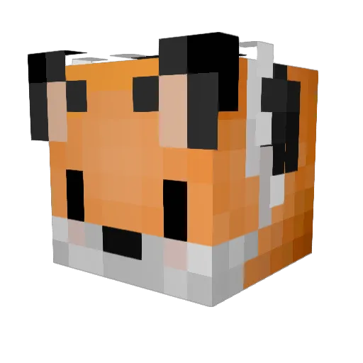 RutaPatrol Minecraft avatar head, 3D render