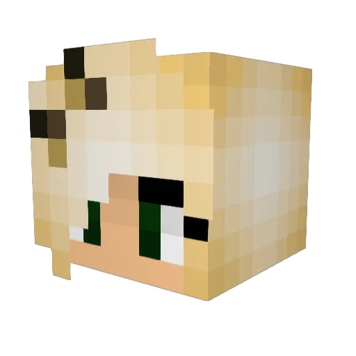 Ruth00 Minecraft avatar head, 3D render