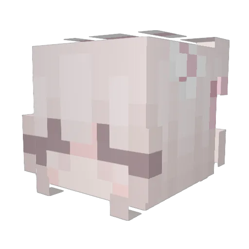 RuthlessDfw Minecraft avatar head, 3D render