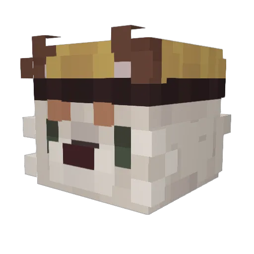 Ruthless_Mudkip Minecraft avatar head, 3D render