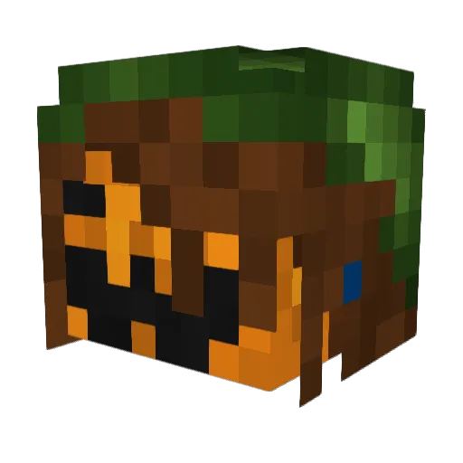 Rutrogue Minecraft avatar head, 3D render