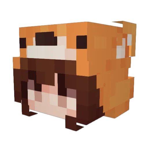 RuttenStubbe Minecraft avatar head, 3D render
