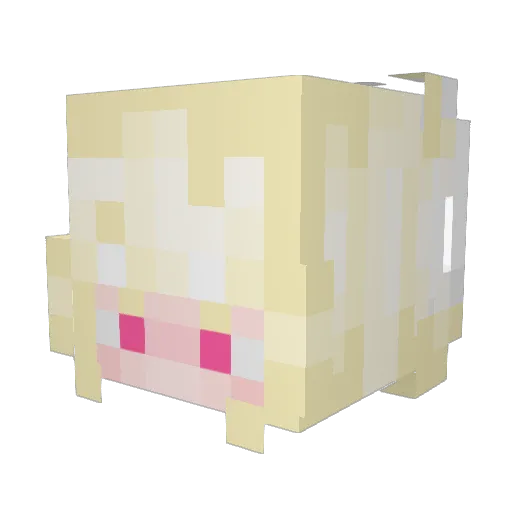 Ruty_ Minecraft avatar head, 3D render