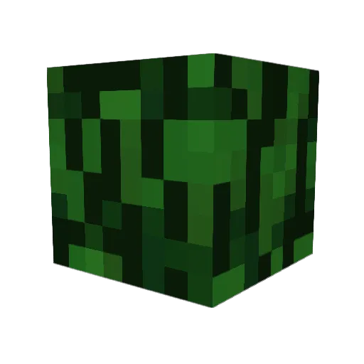 Ruu0101 Minecraft avatar head, 3D render
