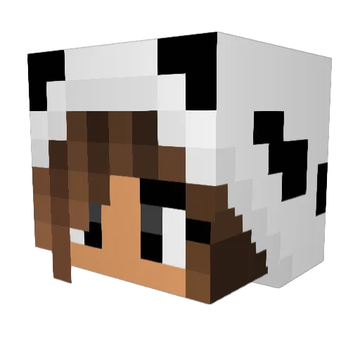 Ruubel Minecraft avatar head, 3D render