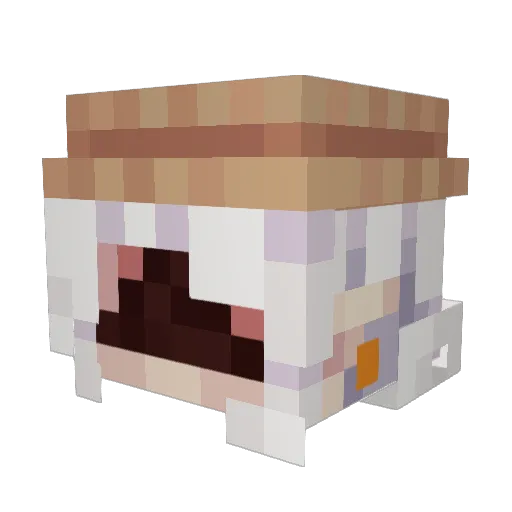 Ruuberry Minecraft avatar head, 3D render