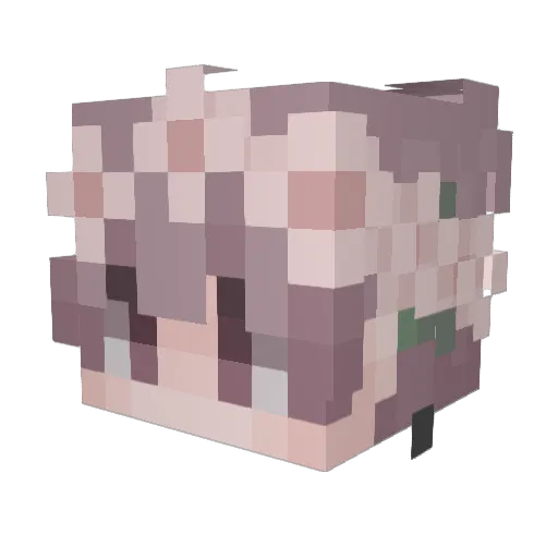 Ruubmaster Minecraft avatar head, 3D render
