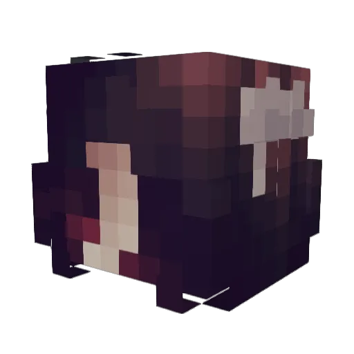 Ruuewe Minecraft avatar head, 3D render