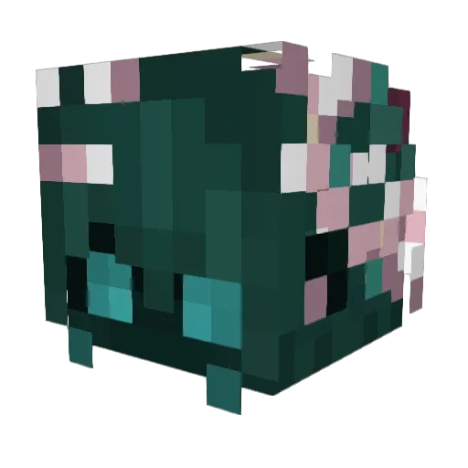 Ruuudie Minecraft avatar head, 3D render