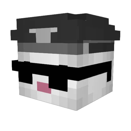 Ruwbine Minecraft avatar head, 3D render