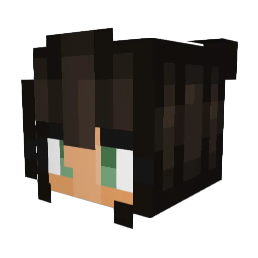 Ruylio Minecraft avatar head, 3D render