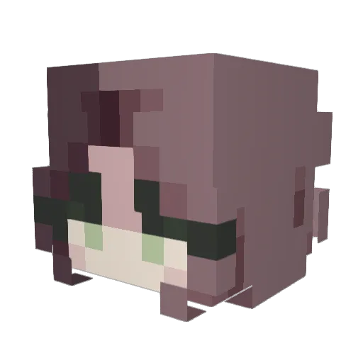 RuzCat Minecraft avatar head, 3D render