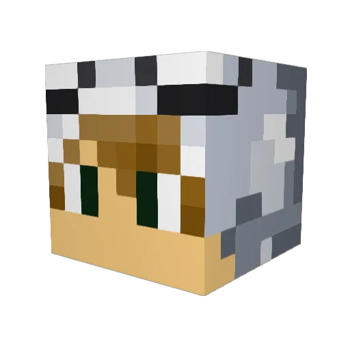 Rvalverde9 Minecraft avatar head, 3D render