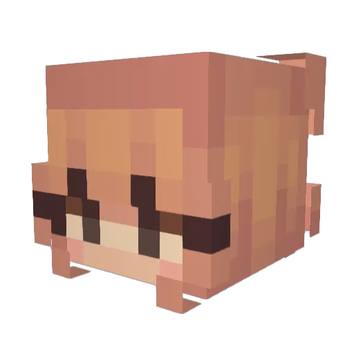 Rvfvz Minecraft avatar head, 3D render