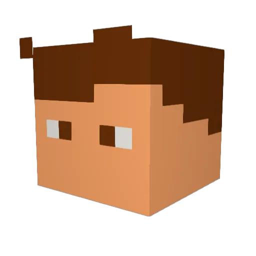 RvidiaX Minecraft avatar head, 3D render