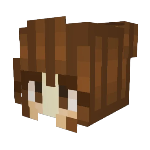 Rvinydvy Minecraft avatar head, 3D render