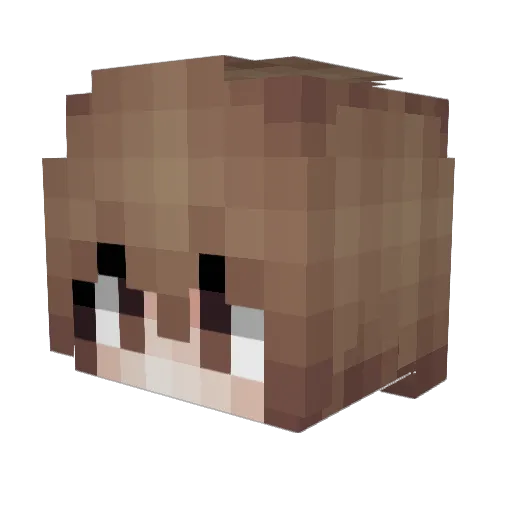 Rvjak Minecraft avatar head, 3D render